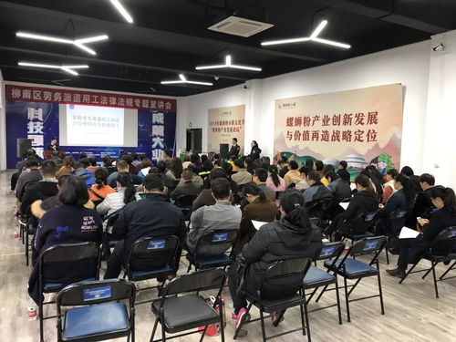 柳南區(qū)舉辦勞務派遣用工法律法規(guī)專題宣講會，助力互聯(lián)網(wǎng)信息服務行業(yè)規(guī)范發(fā)展