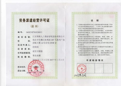 社保繳納類型詳解 個人與公司社保的險種差異及互聯(lián)網(wǎng)信息服務